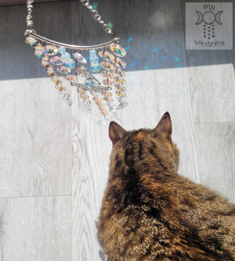 Łapacz Słońca Rainbow Moth kryształki Ćma Ćmy Aurora zajączki opalit girlanda świetlna Łapacz Słońca Rainbow Moth kryształki Ćma Ćmy Aurora zajączki opalit girlanda świetlna