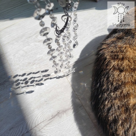 Łapacz Słońca Rainbow Moth Crystal kryształki Ćma Ćmy Aurora zajączki opalit girlanda świetlna Łapacz Słońca Rainbow Moth Crystal kryształki Ćma Ćmy Aurora zajączki opalit girlanda świetlna