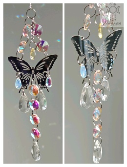 Motylia Łapacz Słońca pomarańczowo niebieski kryształki zajączki świetlne Aurora motyl ćma moth
