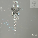 Motylia Łapacz Słońca pomarańczowo niebieski kryształki zajączki świetlne Aurora motyl ćma moth